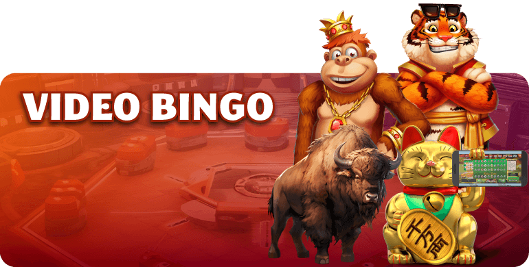 Video Bingo en YoBingo